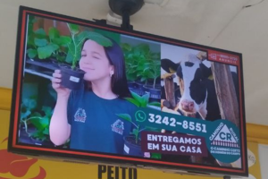 FRANGOS COROCOCO